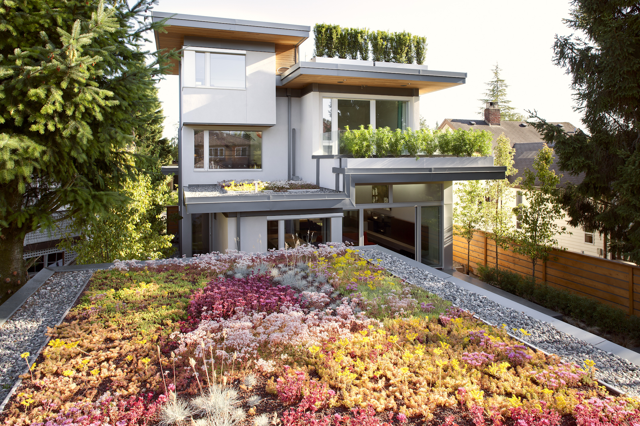 Back view of an environmentally friendly house in Vancouver.